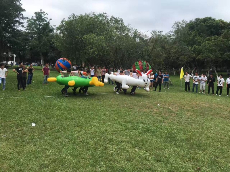 松山湖露营最新动态揭秘