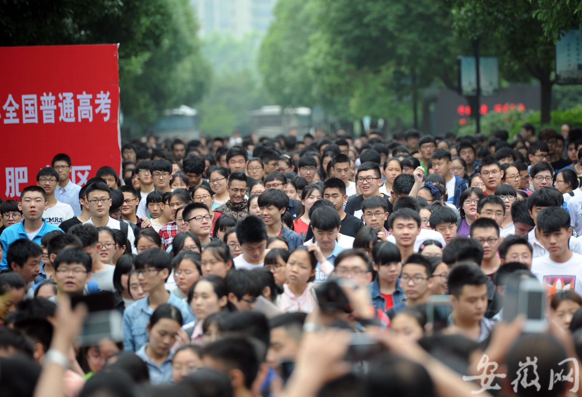 安徽新高考最新动态更新及趋势分析