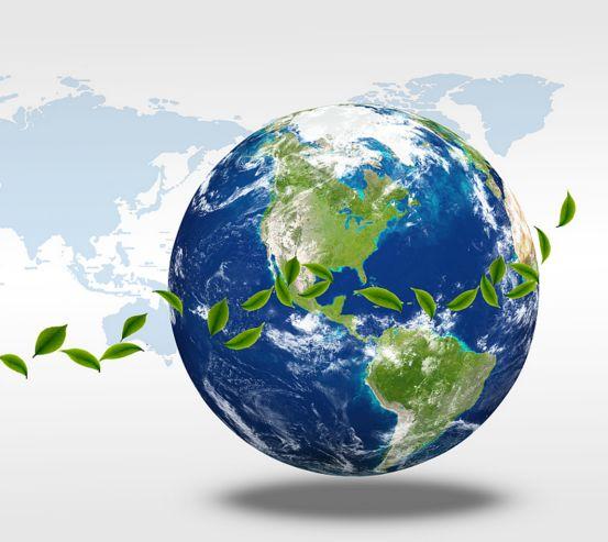 绿色之旅,探寻内心宁静的环保之路