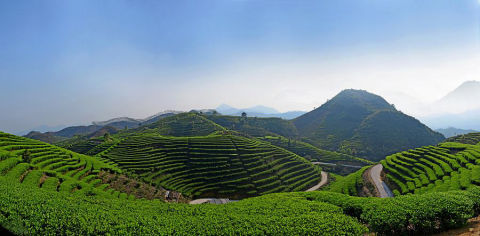 探索自然美景，发现内心平静，最新屯粮消息带你远离尘嚣的旅行之旅