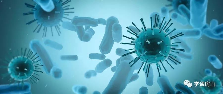 最新冠状病毒状况与巷弄深处的独特风味