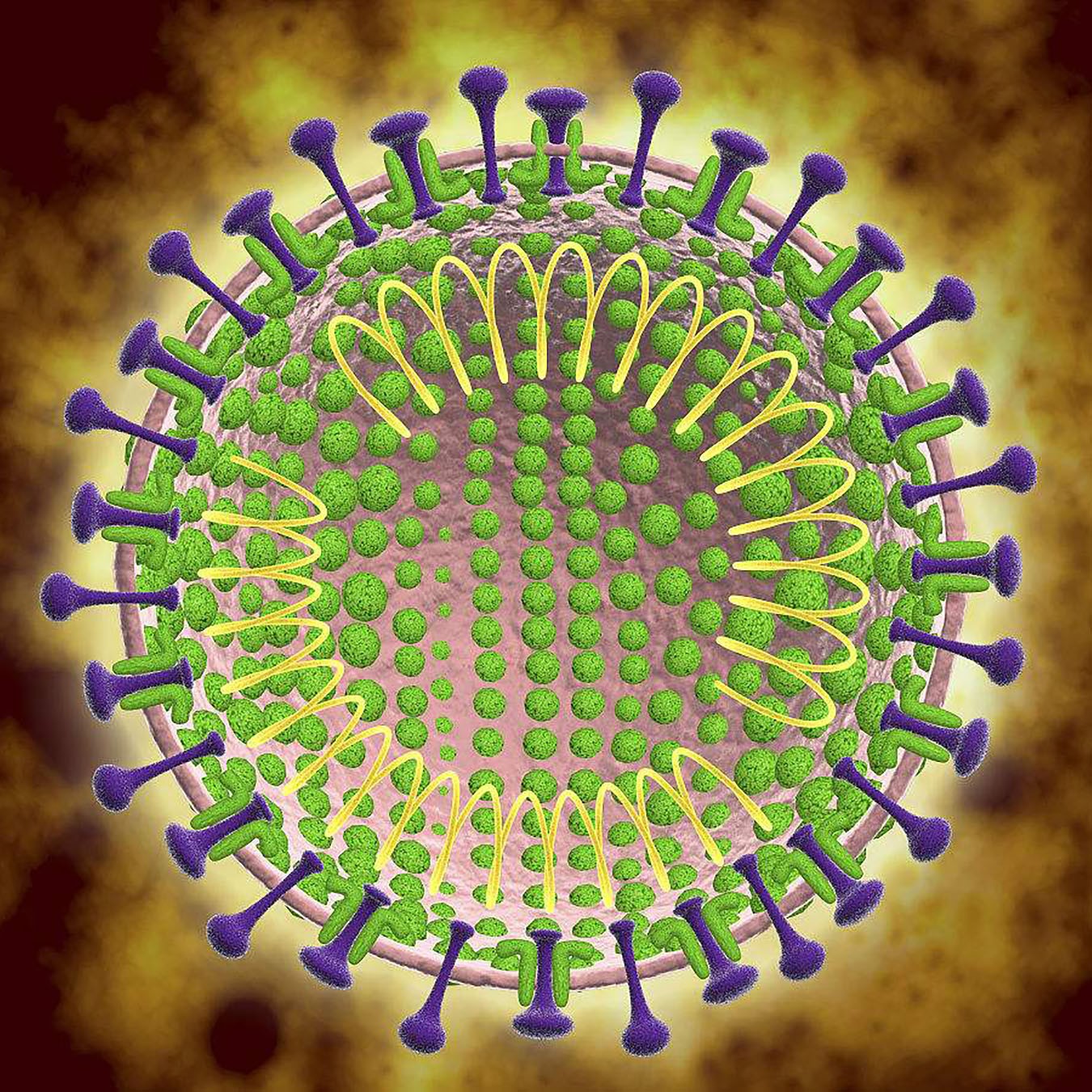 最新冠状病毒状况与巷弄深处的独特风味