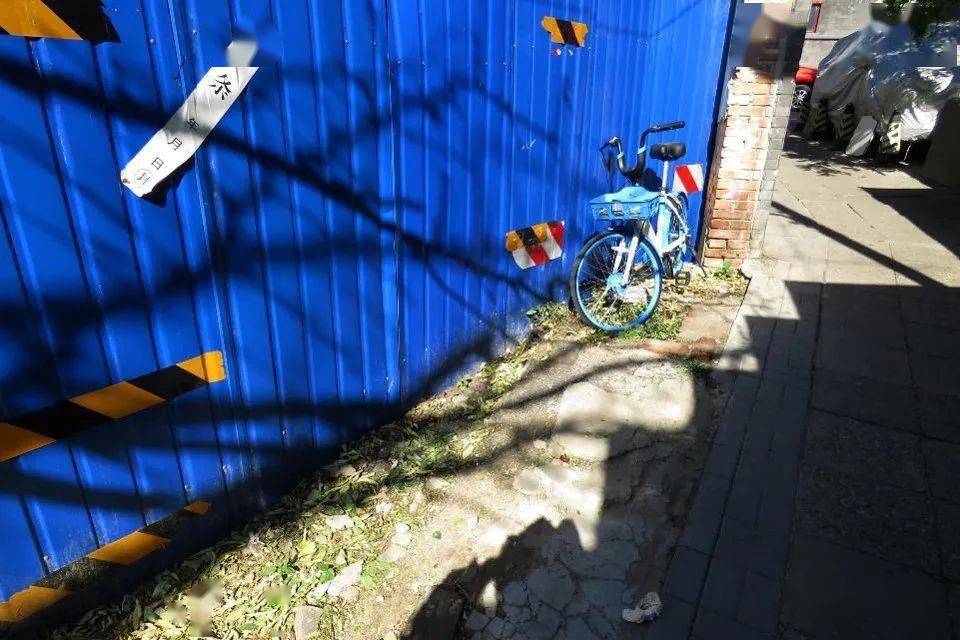 北京疫情视频,巷弄深处的独特风味最新报道