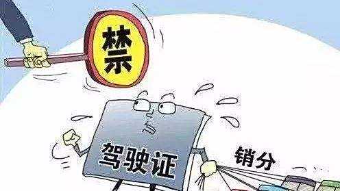 解读最新驾驶证减分政策变化及其影响