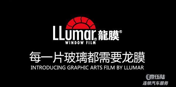 龙膜最新Logo贴,小巷中的隐秘宝藏探索