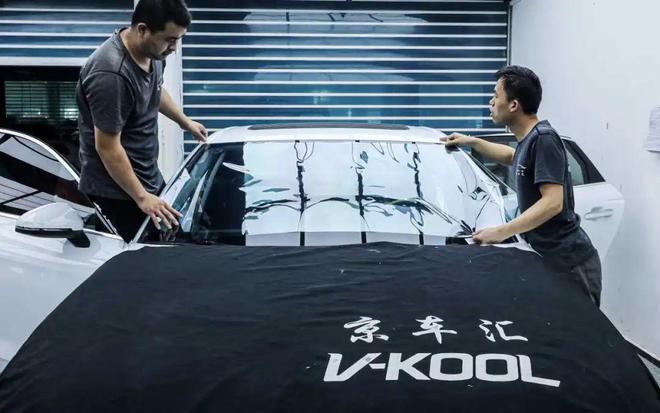 龙膜最新Logo贴,小巷中的隐秘宝藏探索