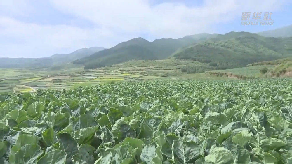 马邻薯最新闻,自然美景探险之旅,探寻内心的平和与宁静