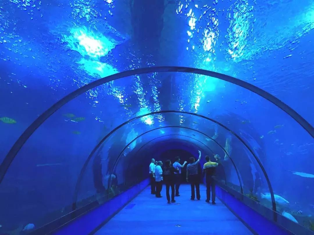 大世界最新版,探索知识海洋,扬帆自信之旅