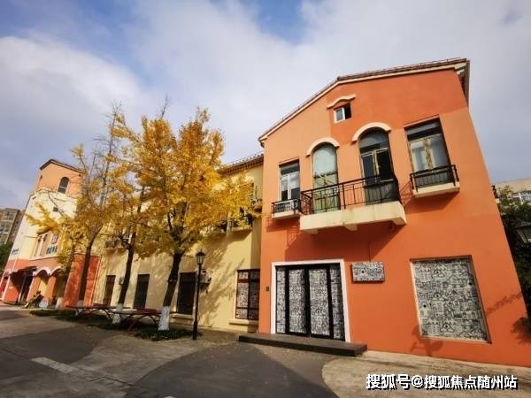 四川绵阳最新疫情观点阐述与分析报告