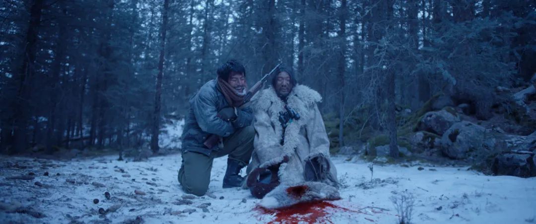 秋霞电影网最新,自然美景的治愈之旅探索