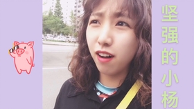 最新红雪,温馨日常趣事分享