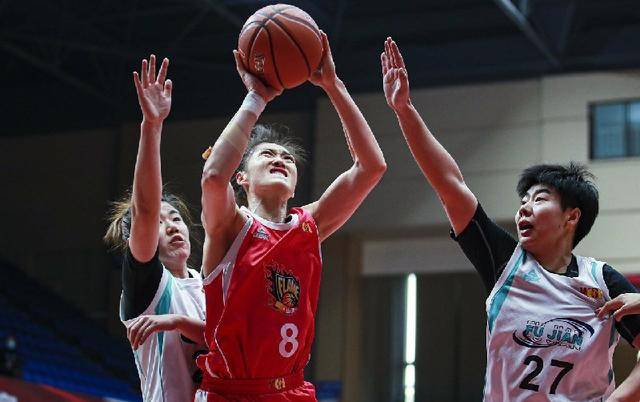 WCBA最新排名指南,初学者与进阶用户的查询步骤