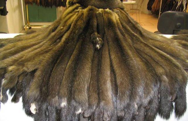 貂皮大衣最新价格,与自然美景相遇,寻找内心平和的旅行邂逅