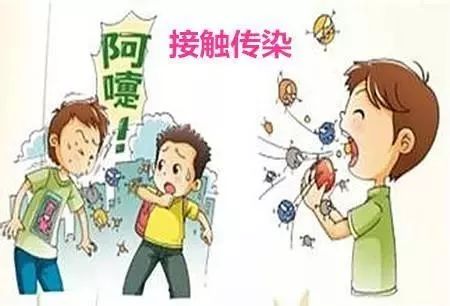 最新传染病新闻下的温馨日常故事报道