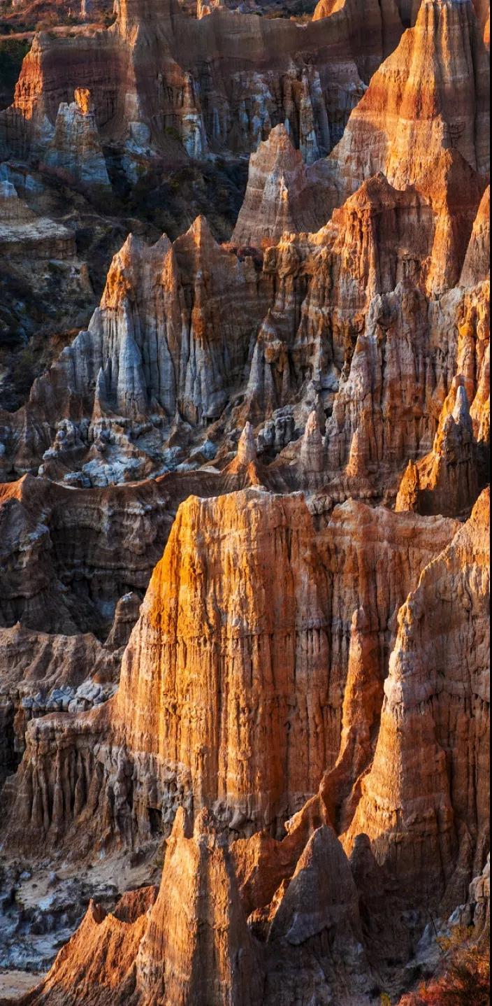 石林最新招聘,时代脉搏与人才汇聚之地
