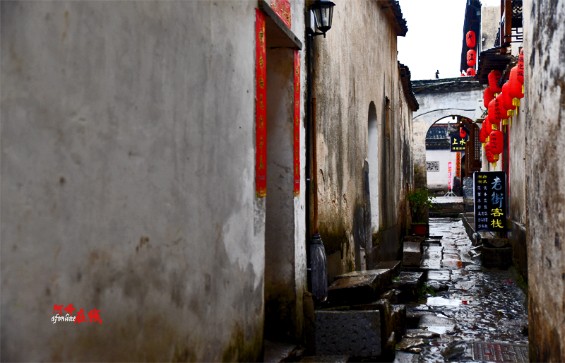 张文宏最新发声,小巷深处的独特风味探索之旅揭秘