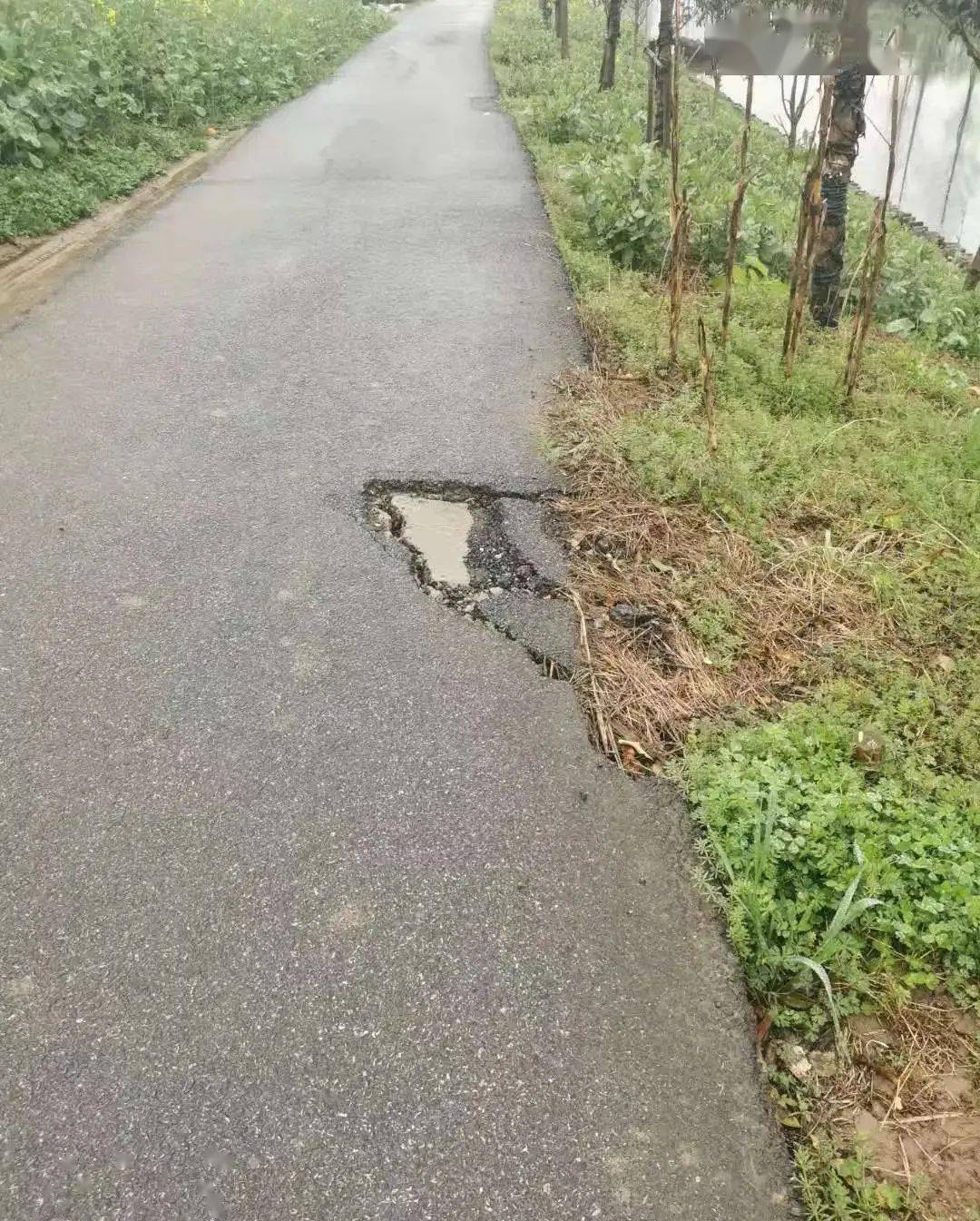 临夏最新动态,学习之光,培育自信与成就感的源泉