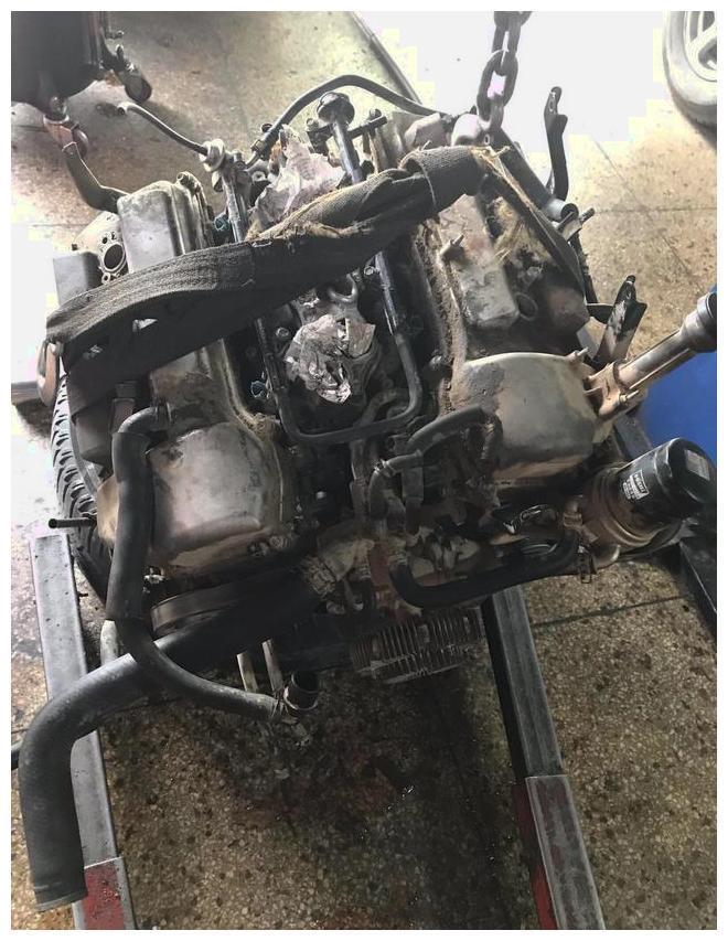 最新普拉多,驾驭变化,驶向成功之路