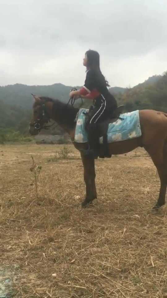 最新美女骑马,小巷深处的骑乘秘境探索