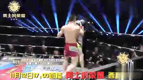 铁英华最新比赛,掀起格斗狂潮的巅峰对决之夜