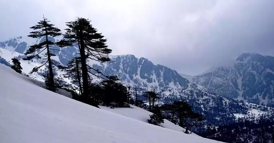 时代勇者之旅,最新极限挑战之旅