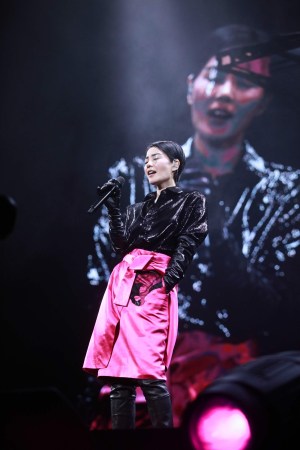 王菲最新歌曲,自然之旅的鼓舞与内心平静的旋律