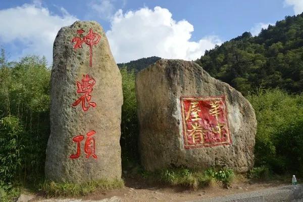 珍稀华南虎最新消息揭秘,现状震撼来袭🐅🔥