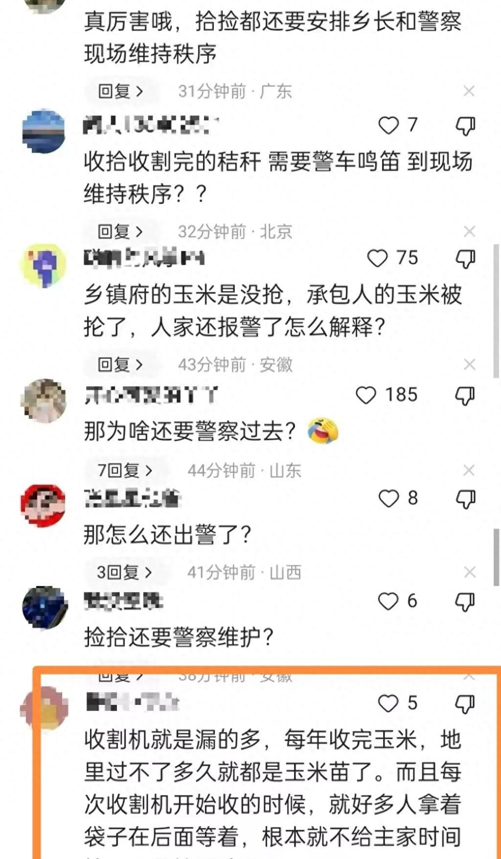 周口玉米最新价格动态,机遇与自我超越的力量探索