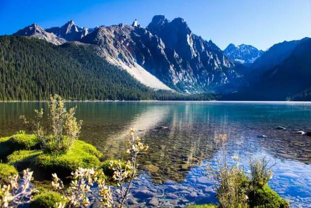 chrome 最新版本,Chrome最新版本,自然美景之旅的灵感源泉