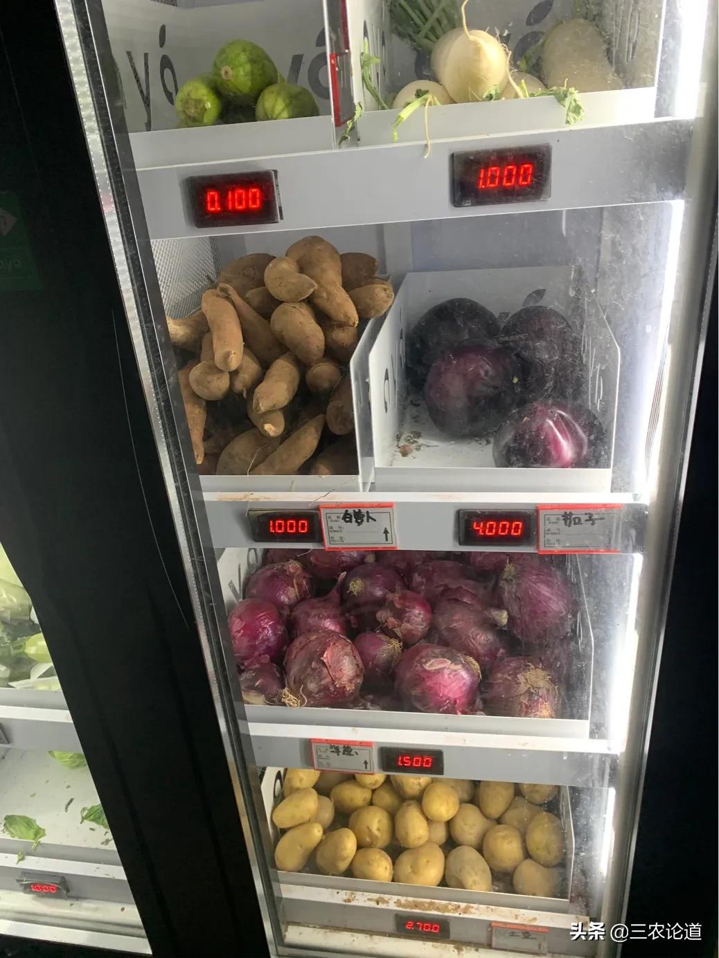 今日蔬菜价格表概览，市场波动中的多元视角分析