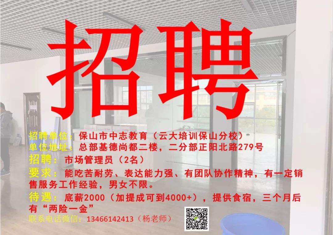 保山最新招聘信息概览,观点论述与求职指南