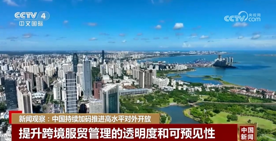 外高桥最新动态,蓬勃发展中的桥头堡