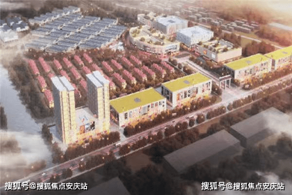 最新彩计划全面解析与观点阐述