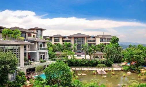 最新彩计划全面解析与观点阐述