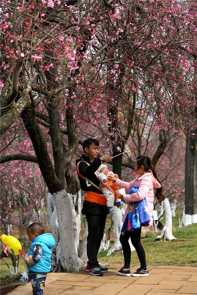 嵩明最新科技招聘盛宴,引领未来生活潮流新篇章