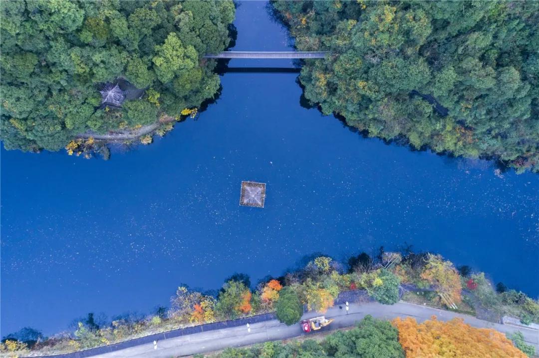追寻心灵平和,自然美景之旅与最新新闻24小时概览