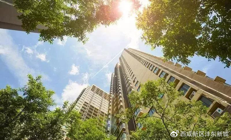 沣东新城最新动态,邻里间的温情故事