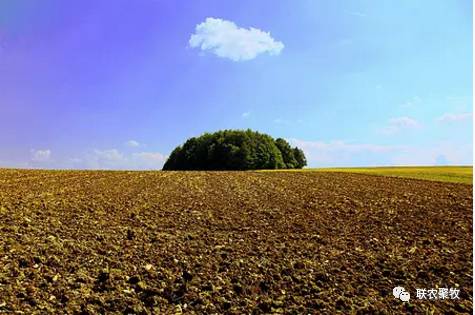 辽宁玉米最新价格,与自然美景的邂逅之旅,探寻内心平静与喜悦的旅程