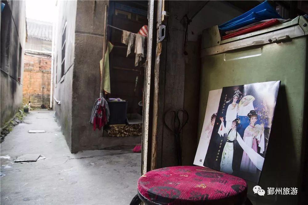 中国人口最新统计,巷弄深处的独特人口风景与特色小店探秘