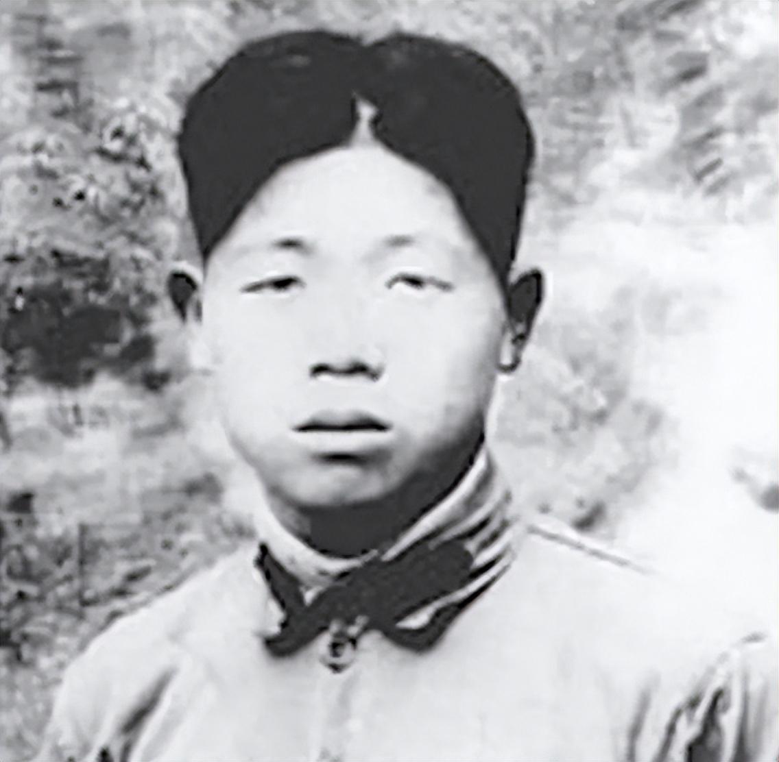 麻城最新新闻,城市温情,友情与家的故事展现温情时刻