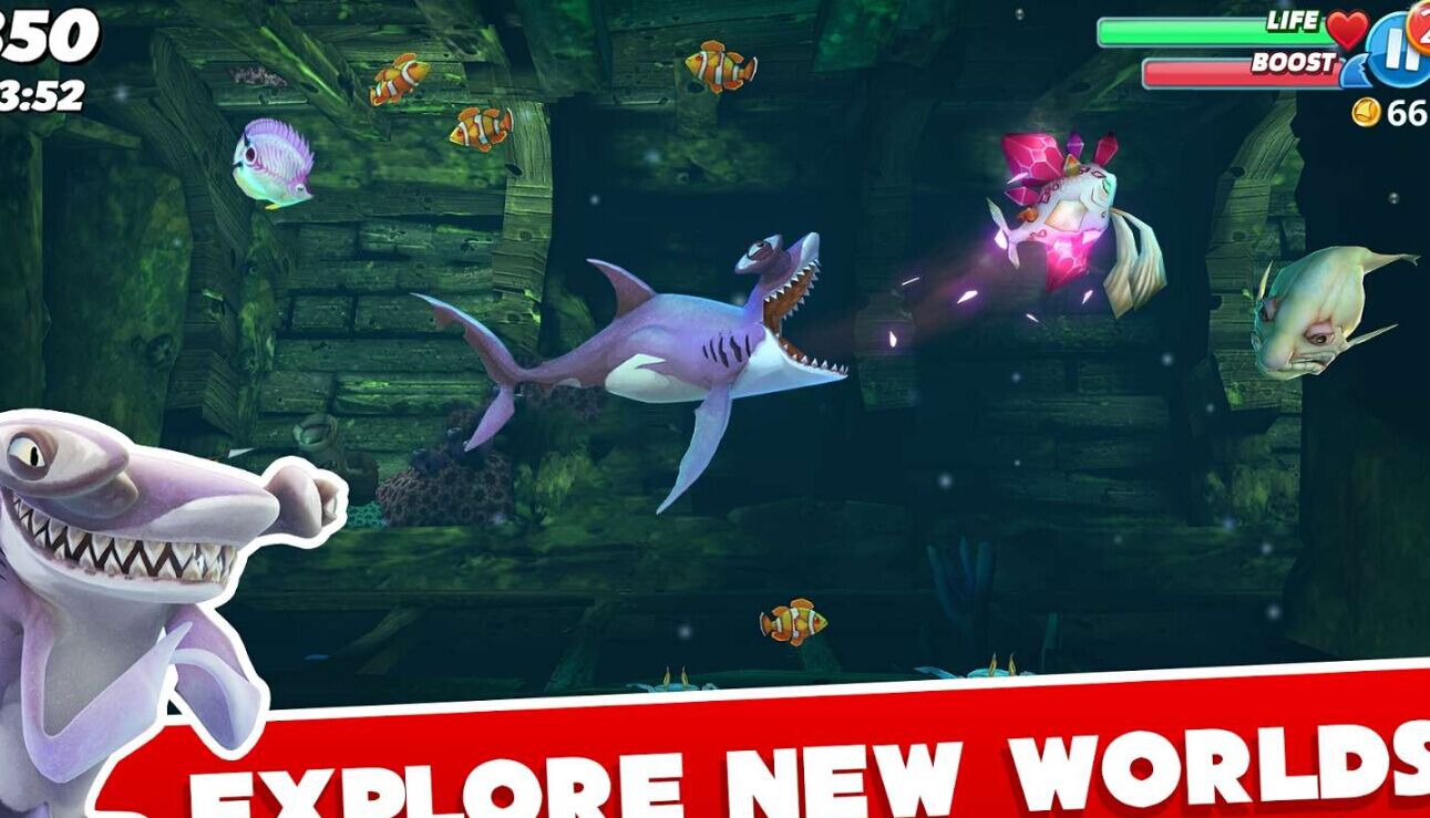 饥饿鲨破解版最新话题探讨