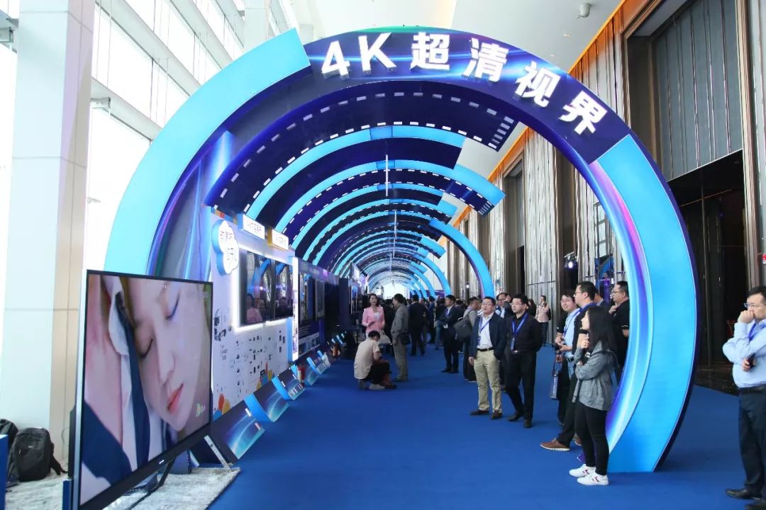 91大神最新动态及热点解析