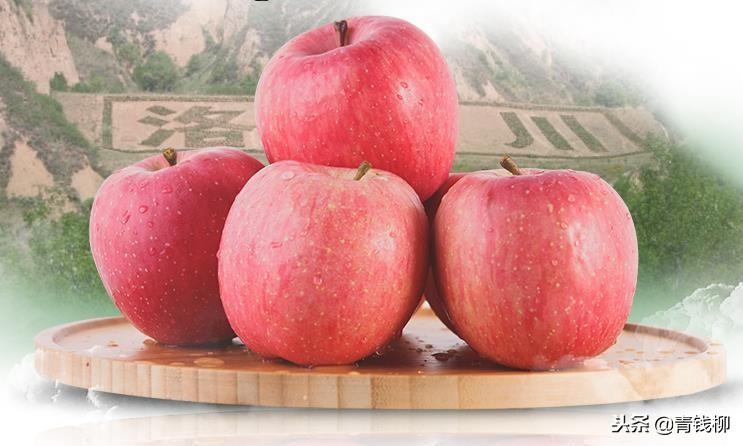 红富士苹果最新价格,一颗果实带来的自信与成就感体验