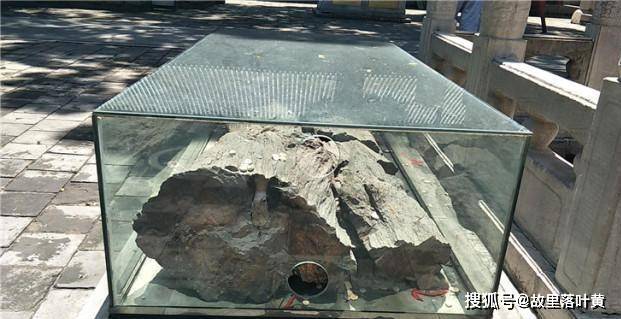 焊管最新价格揭秘,小巷深处的神秘行情!