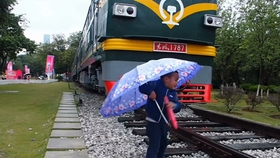 秋霞最新伦理观点,社会现象分析与观点阐述揭秘