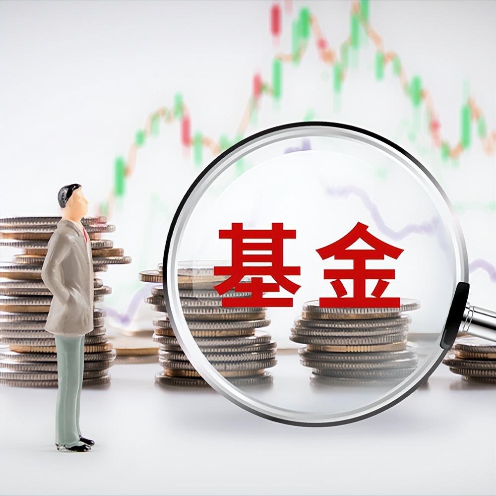 最新基金净值深度解析与观点阐述,专业解读基金表现与未来趋势