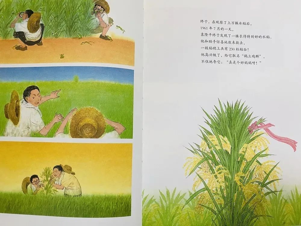 探索午夜世界的魅力与故事,最新午夜探秘之旅