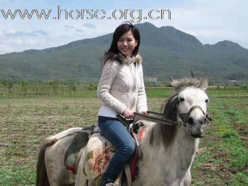 美女骑马,运动之美与力量的完美展现