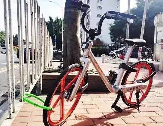 最新单车,城市出行方式的革新与探索