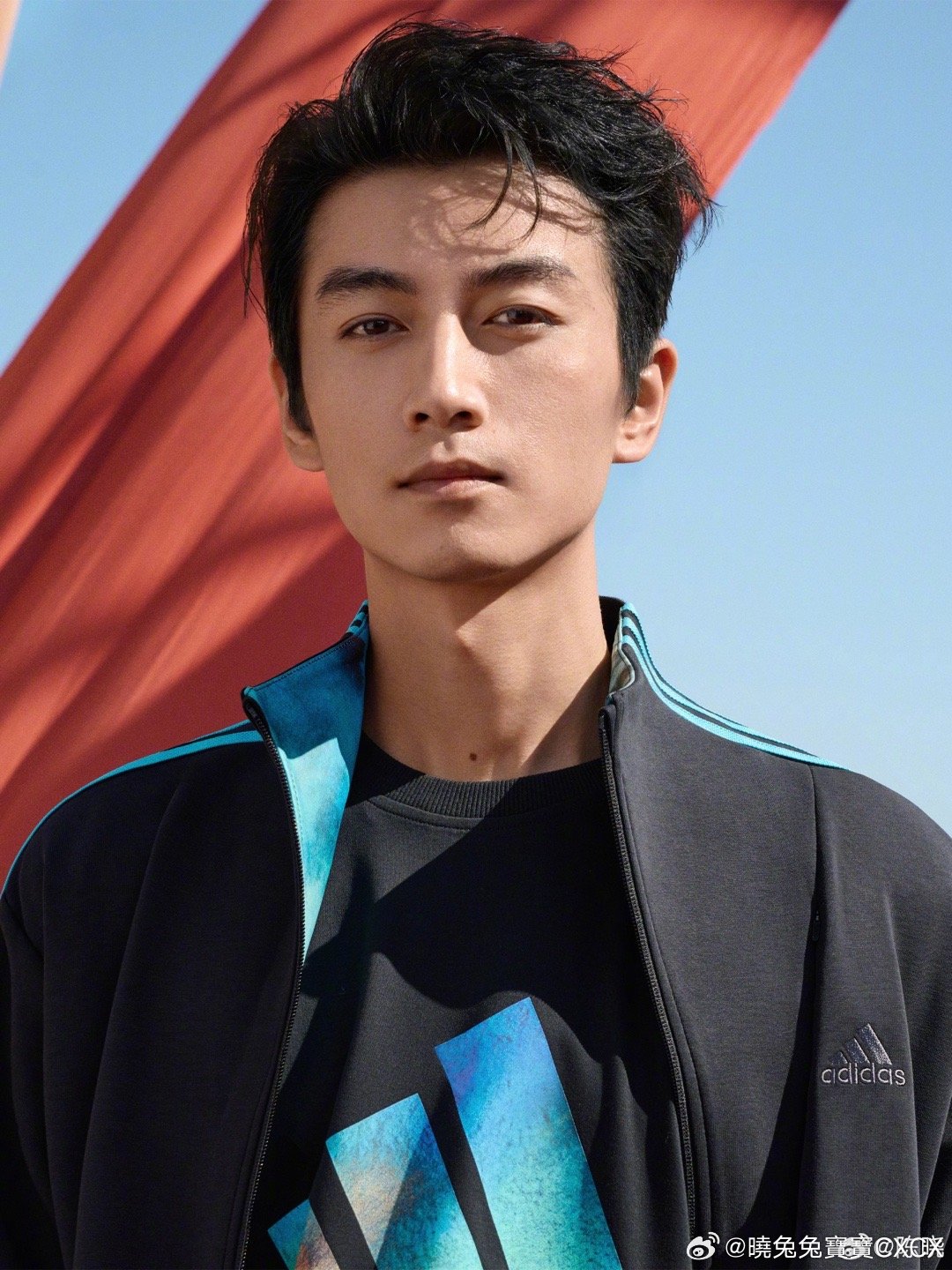 陈晓最新动态速递,揭秘他的最新行程与动态